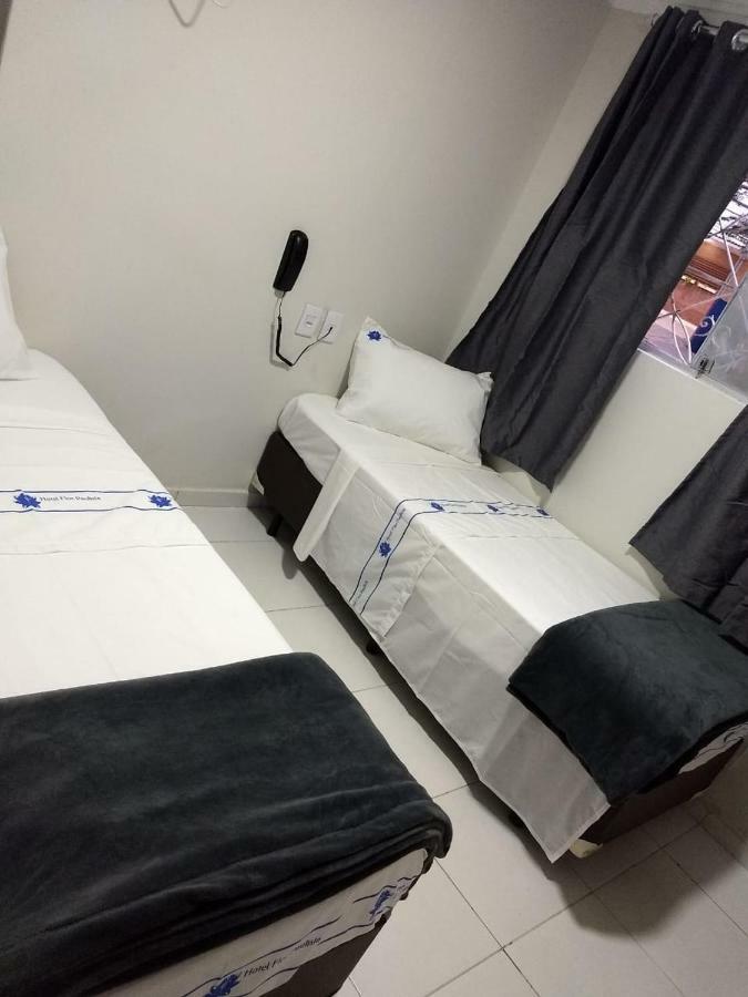 Hotel Flor Paulista São Paulo Extérieur photo